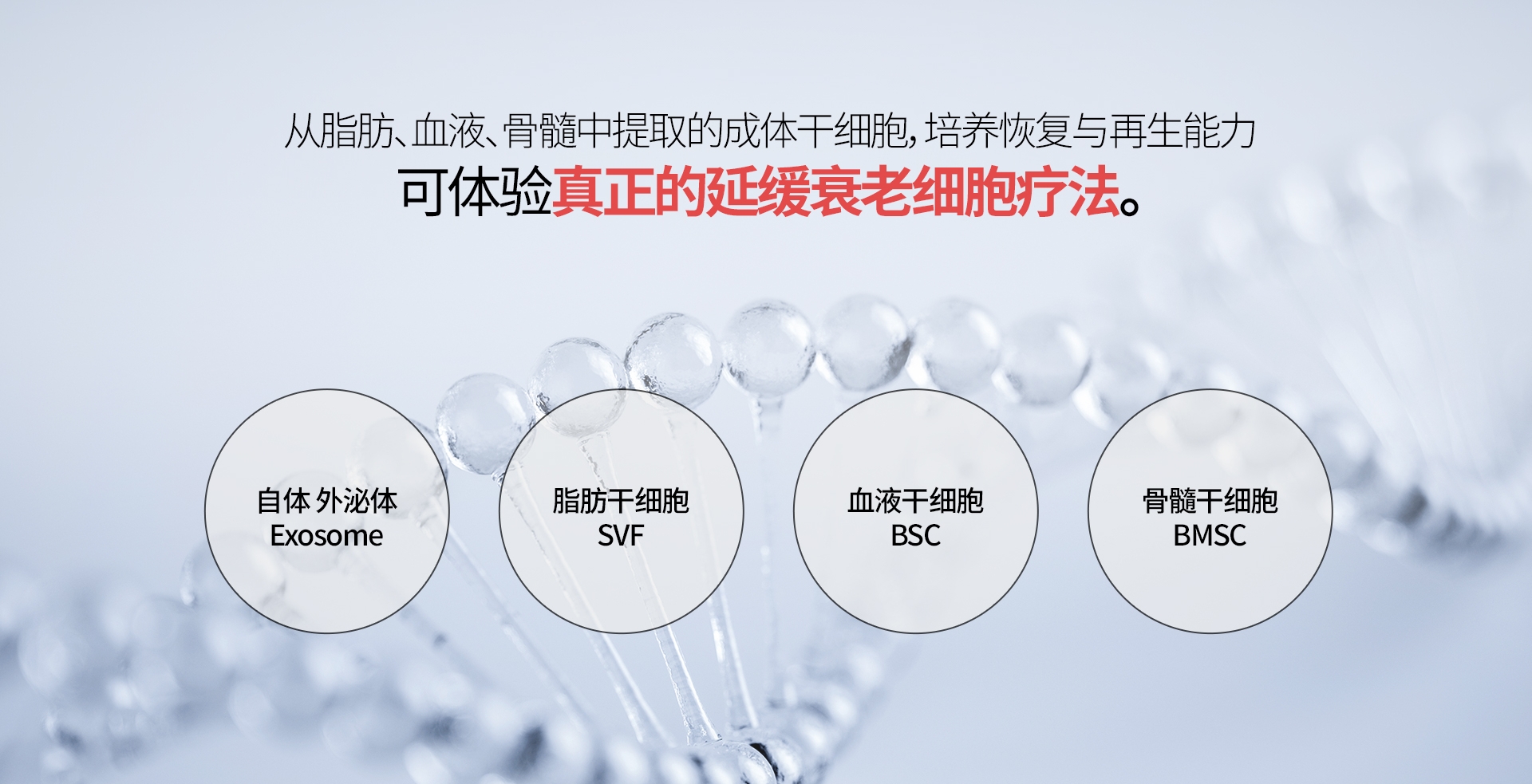 从脂肪、血液、骨髓中提取的成体干细胞，培养恢复与再生能力 可体验 真正的延缓衰老细胞疗法。 自体 外泌体 Exosome 脂肪干细胞 SVF 血液干细胞 BSC 骨髓干细胞 BMSC